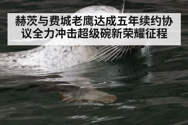赫茨与费城老鹰达成五年续约协议全力冲击超级碗新荣耀征程